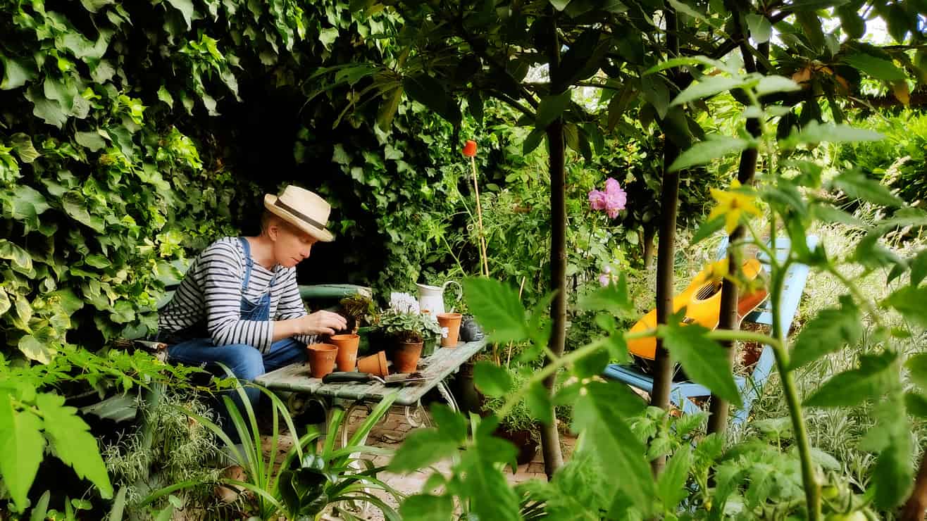 The Handy Gardener. Frances McKevitt.